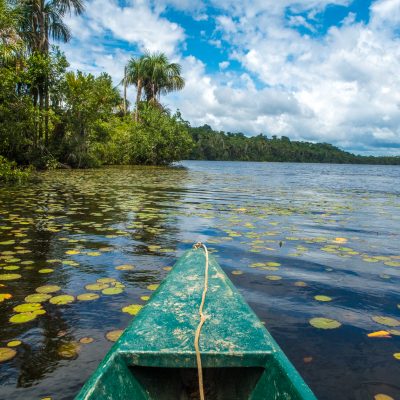 Peru Amazon Experience