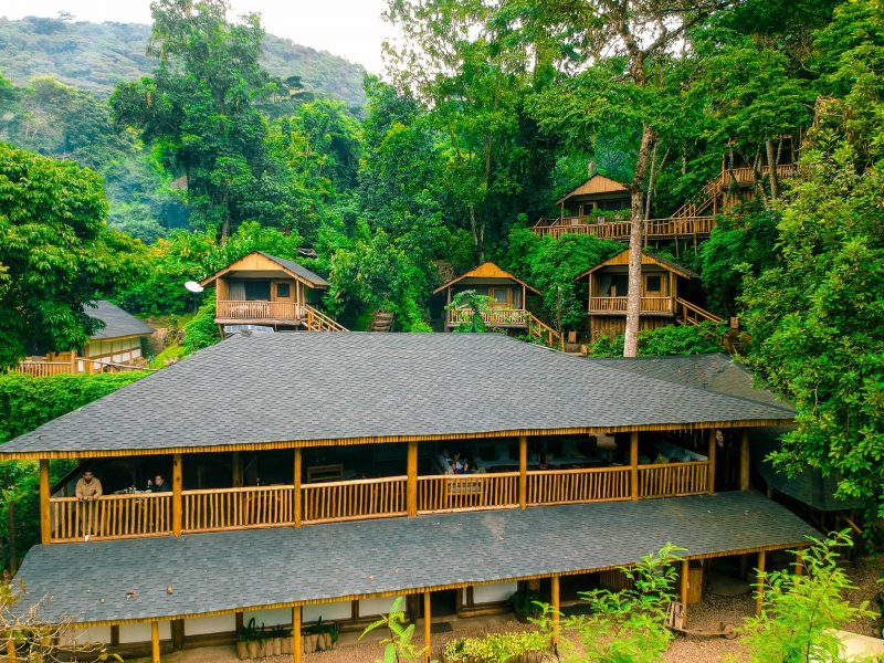 Uganda - 1568 - Bwindi Impenetrable Forest - Buhoma Lodge - Main Building from above