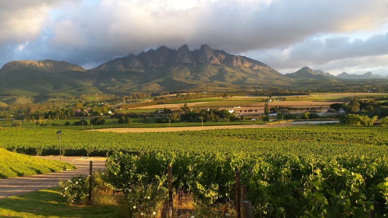 Cape Winelands Val Du Charron provided by Tourvest DMC