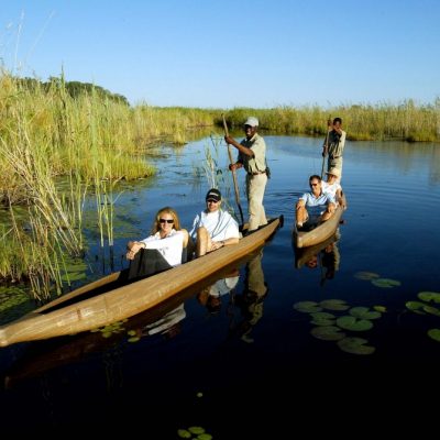 Classic Botswana Fly In Safari