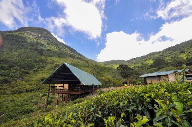 Sri Lanka - Thangappuwa - 1567 - Wild Glamping Knuckles Mountain Views