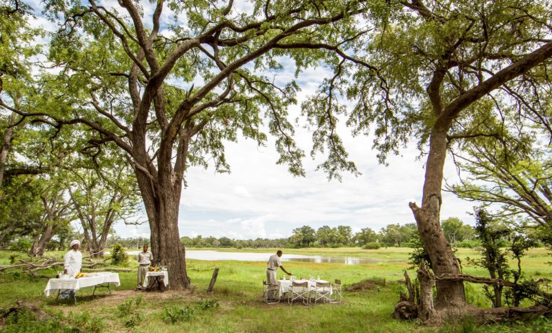 Botswana - 1553 - Outside dining under tress