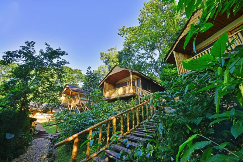 Uganda - 1568 - Bwindi Impenetrable Forest - Buhoma Lodge lodge Steps