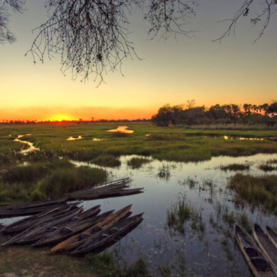 Stars of Botswana