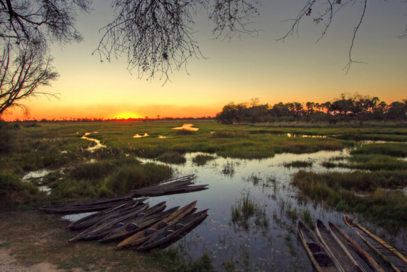 Botswana - 1553 - Oddballs - sunset