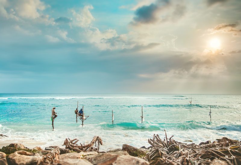 Sri Lanka Wildlife Adventure - 1567 - Fishing at Beach