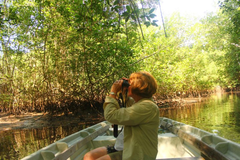 Complete El Salvador Experience - 10024 - River wildlife spotting