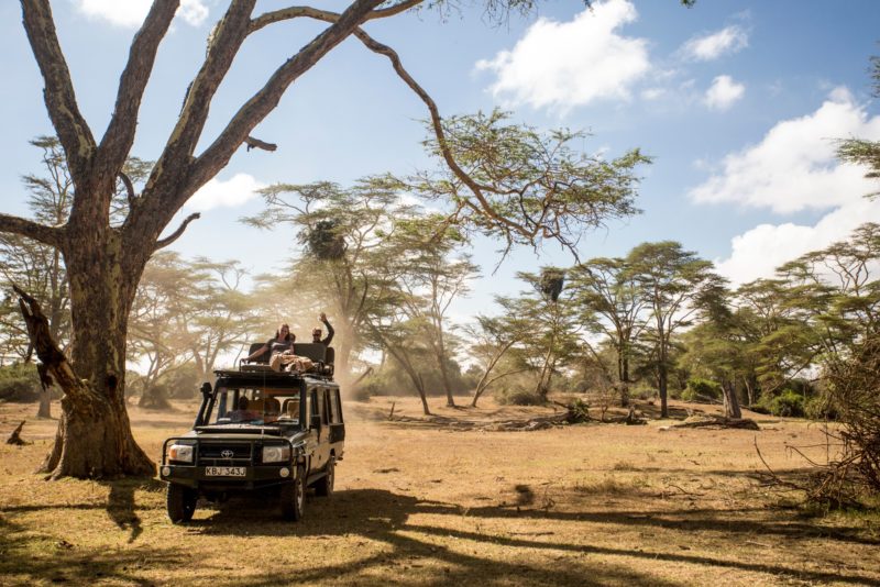 Kenya - 12890 - Safari Jeep on Game Drive