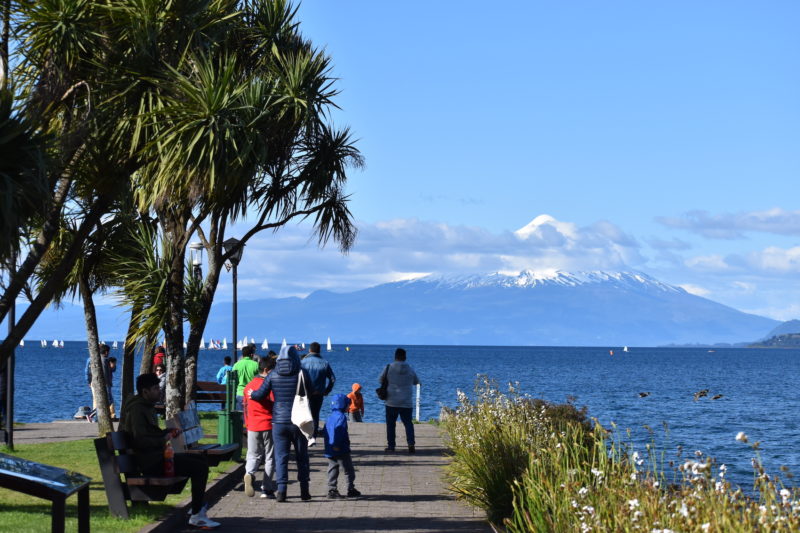 Chile - 1560 - Calbuco Volcano Scenic Landscape Adventure