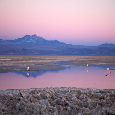 Chile Atacama Community Discovery