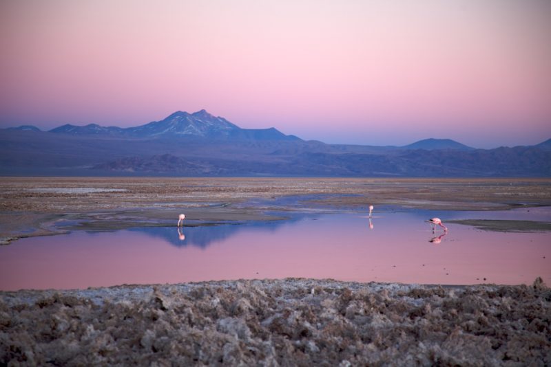 Chile - 1560 - San Pedro de Atacama - At Dusk - Nicolas de Camaret