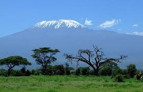 Kenya - 12890 - View of Kilimanjaro from Amboseli - Grasslands