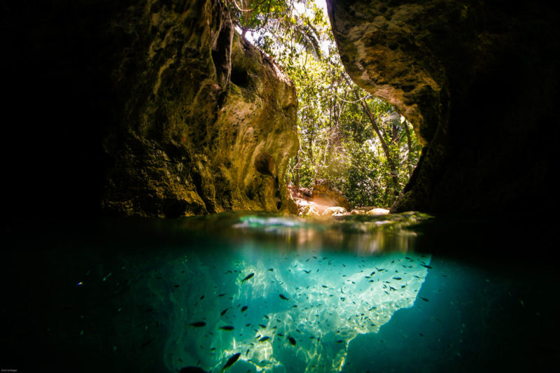 Highlights of Belize - 10024 - ATM Cave in Belize - Tropical Fish in Underground River