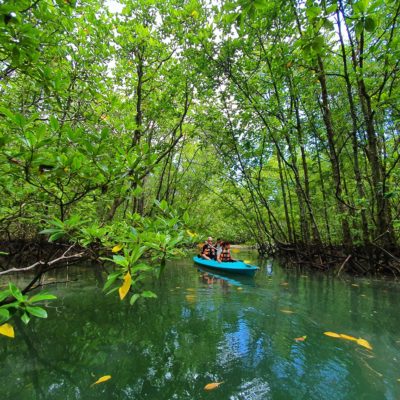 Malaysia Colourful Peninsula