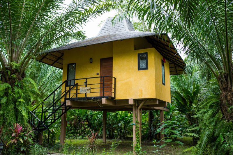 Thailand - Khao Sok - 18264 - Lodge on stilts