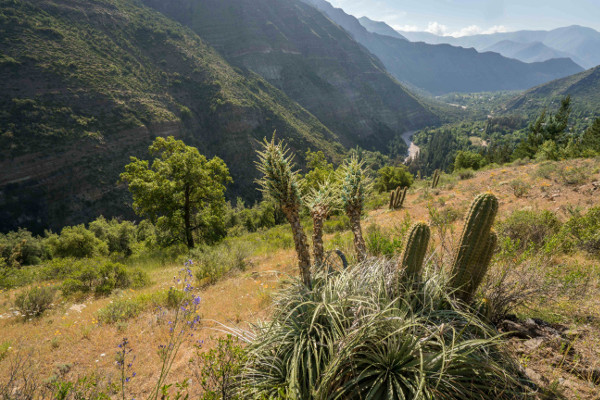 Chile - 1560 - Cajon del Maipo Rural Adventure Experience