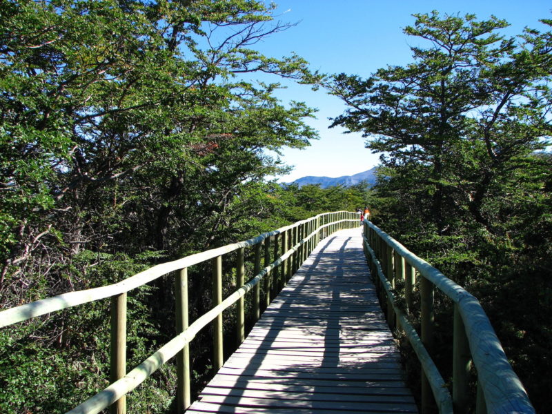 Chile - 1560 - Milodon Cave Adventure Experience