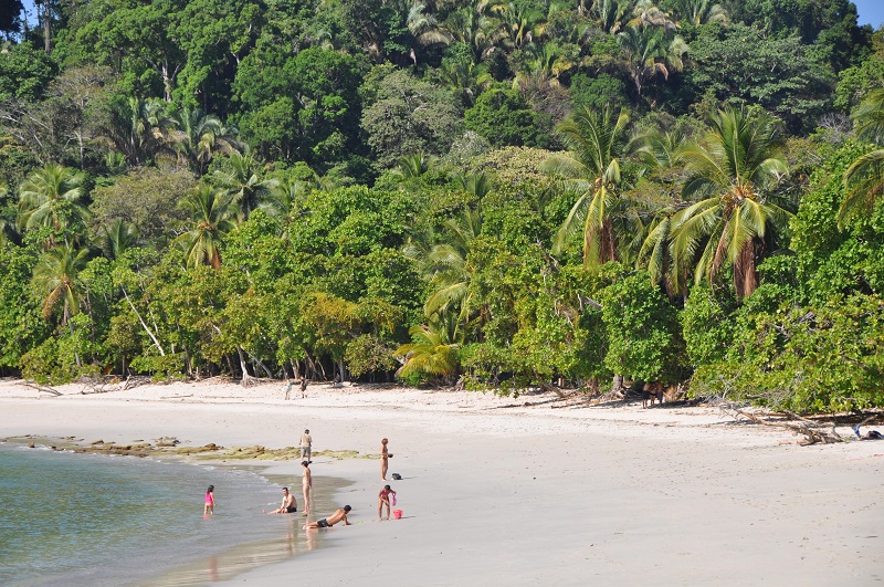 Costa Rica Tortuguero and Rainforest - 10024 - Mi Antonio Beach Jungle Adventure