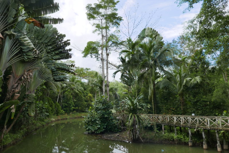 Malaysia - Borneo - 18266 - Sepilok Nature Resort