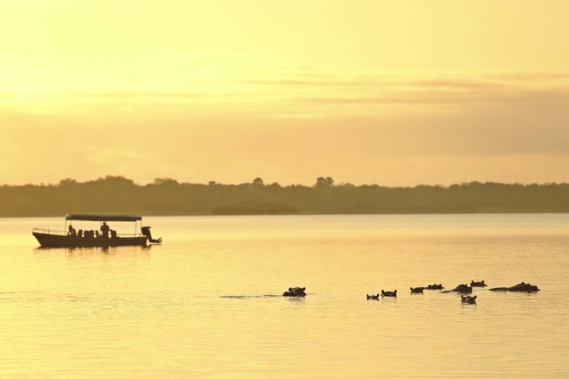 Tanzania - 17467 - asilia roho boat - sunset