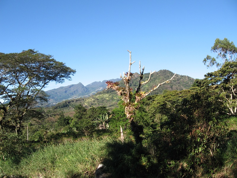 Panama - Panamanian Adventure - 10024 - mountains near boquete