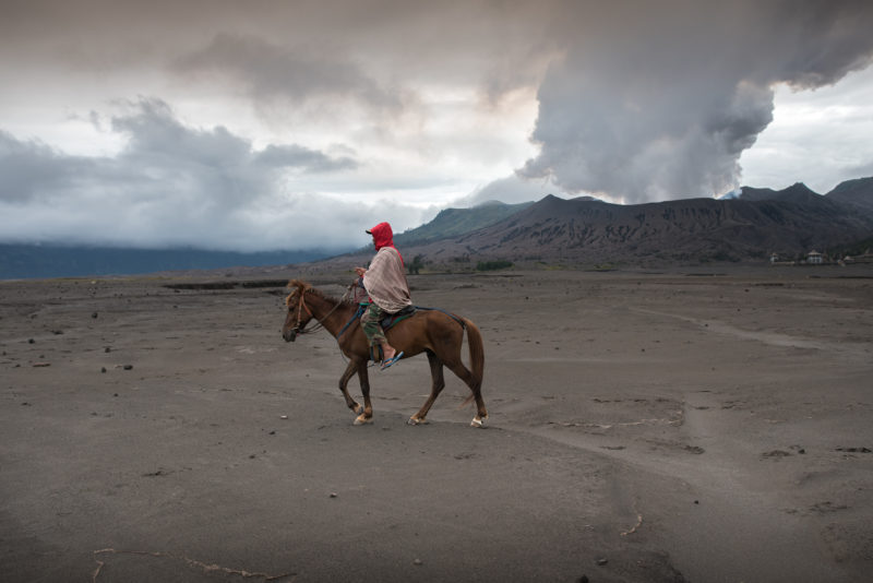 Indonesia - 18268 - Horse trip through Bromo