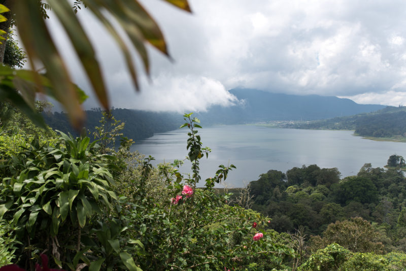 Indonesia - 18268 - Ubud