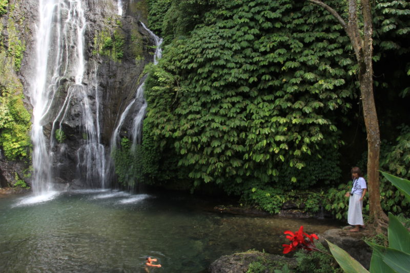 Indonesia - 18268 - Banyumala Waterfall