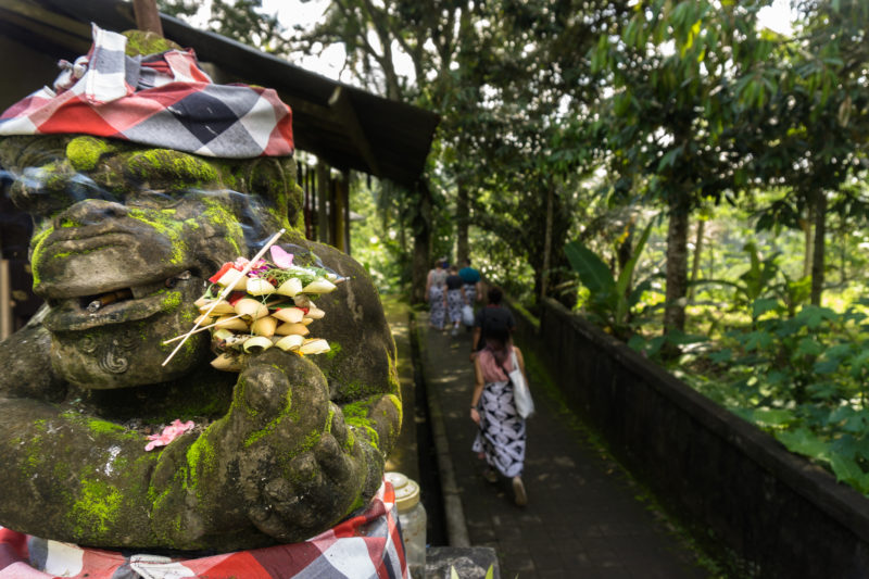 18268 - Indonesia - Temple Adventure