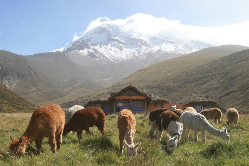 Ecuador - 1557 - Cultural Adventure - Nature and Wildlife