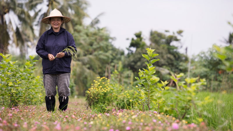 Thailand - 18264 - Organic Village