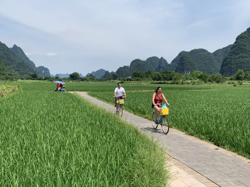 China - 18262- Cycling in Yangshuo - Biking through Fields