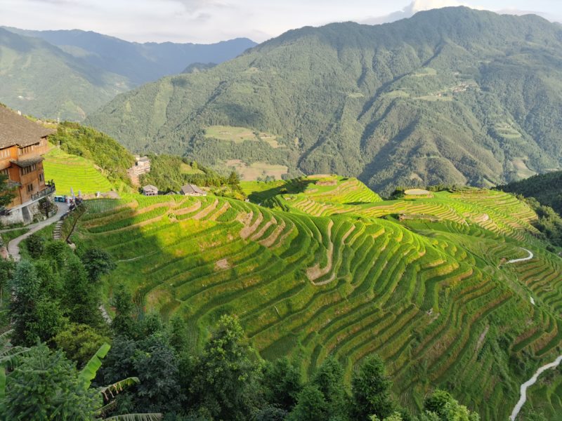 China - 18262- Longji Rice Terrace - Mountain view of landscape