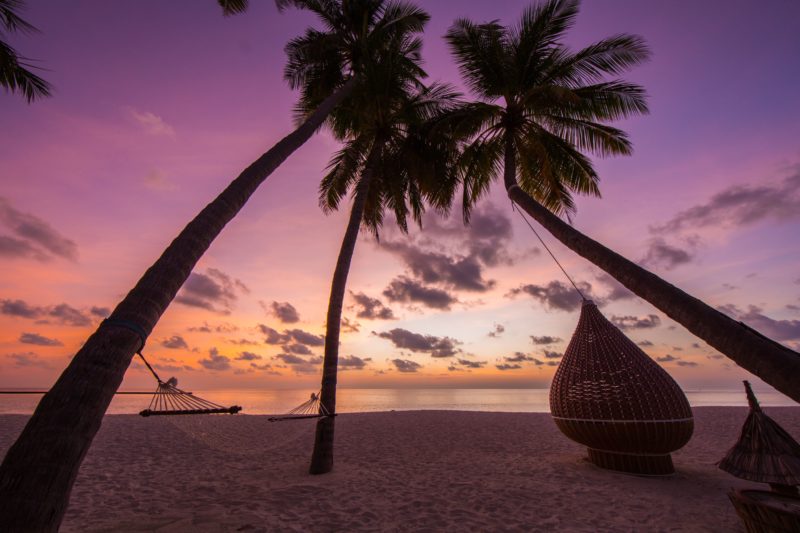 Maldives - North Ari Atoll - 1567 - Veligandu Island Resort - Sunset under palm trees