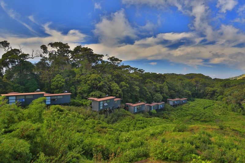 Sri Lanka - Deniyaya - 1567 - Rainforest Eco Lodge - Ariel View