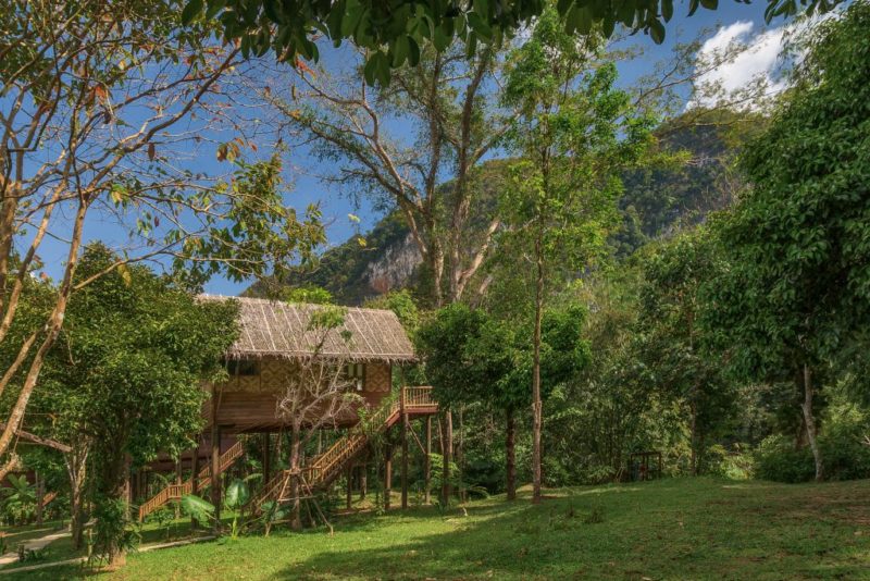 Thailand - Khao Sok - 18264 - Lodge Exterior