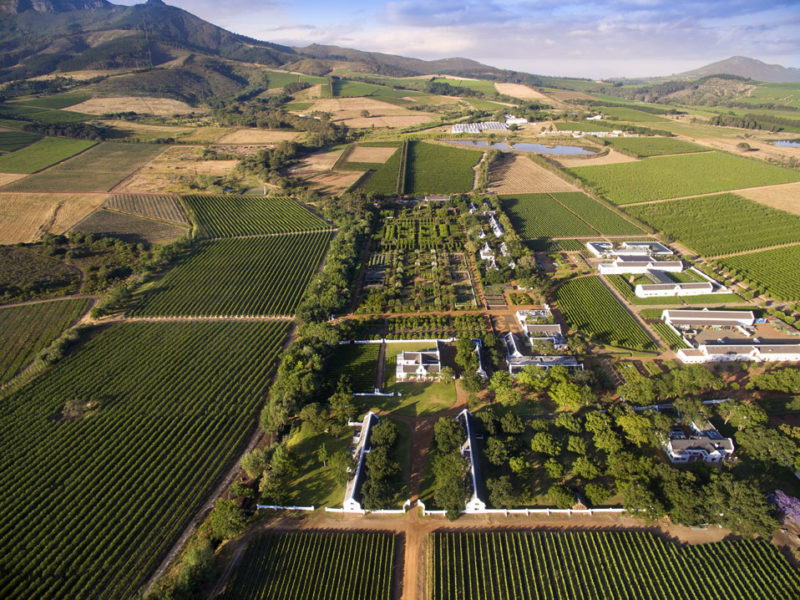 South Africa - 4948 - babylonstoren - aerial