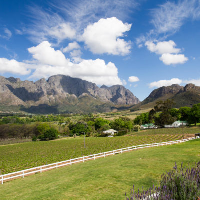 South Africa Cape, Winelands and Safari