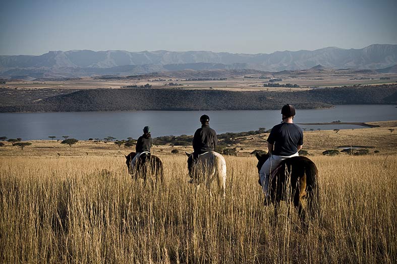 South Africa - 4948 - three tree hill lodge - horseriding