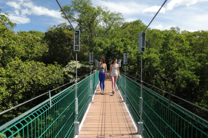 Bridge Crossing over the river