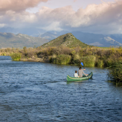 Pure Break Family Cape, Winelands and Kruger Safari