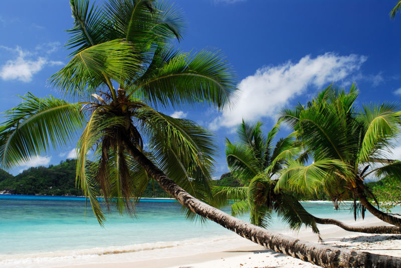 Seychelles - 1554 - Beach