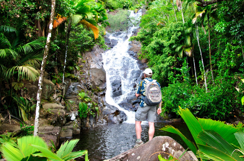 Seychelles - 1554 - Waterfall