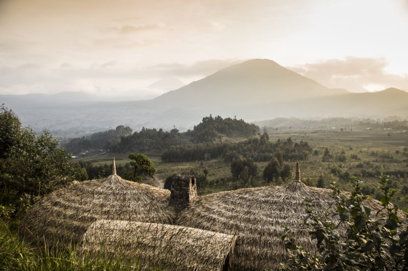 Rwanda - Volcanoes National Park - 1568 - Bisate Lodge