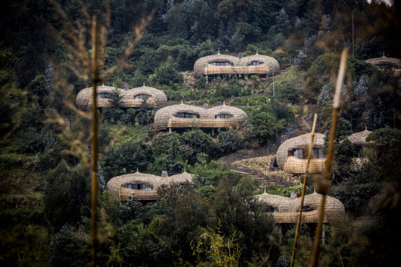 Rwanda - Volcanoes National Park - 1568 - Bisate Lodge