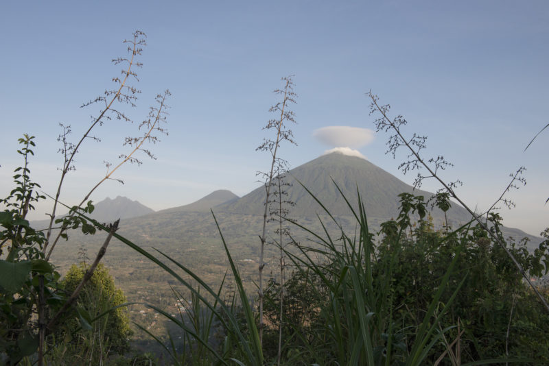 Rwanda - Twin Lakes Burera & Ruhondo - 1568 - Virunga Lodge