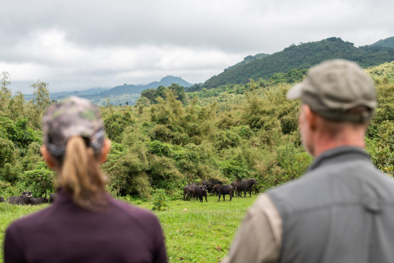 Rwanda - Volcanoes National Park - 1568 - Sabyinyo Silverback Lodge