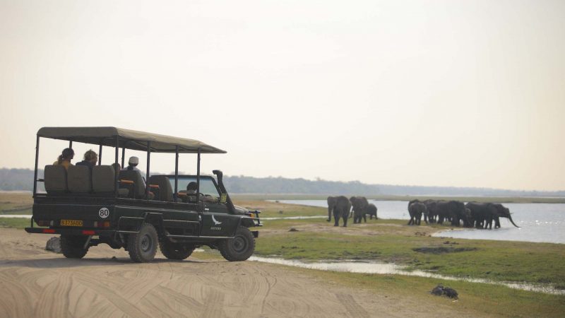 andBeyond Chobe Under Canvas - Game Drive