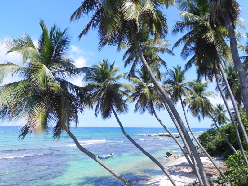 Dominican Republic - Beach