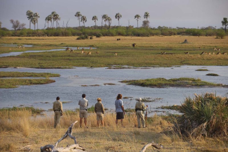 andBeyond Sandibe Okavango Safari Lodge - Walking